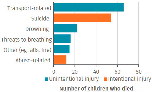 Bar chart showing transport related injuries were the largest unintentional case of injury. Suicide was the largest intentional cause of injury. 